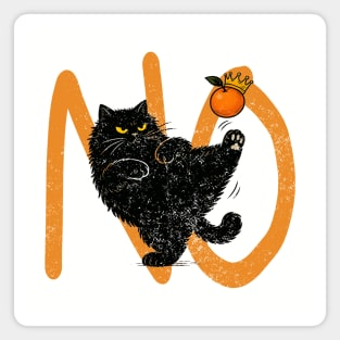 NoKings ~ political satire Magnet